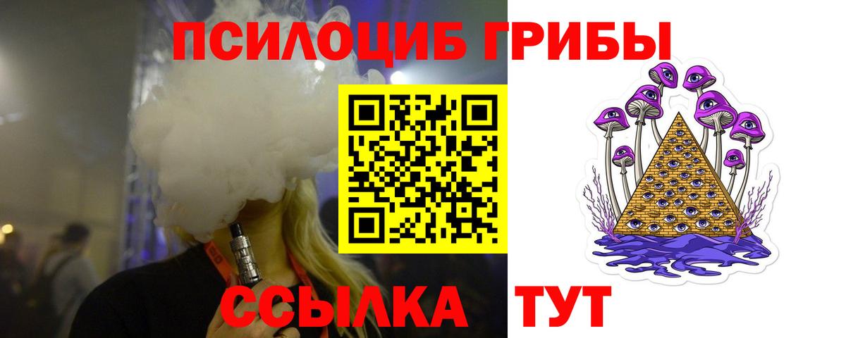 Псилоцибиновые грибы мицелий Артёмовский