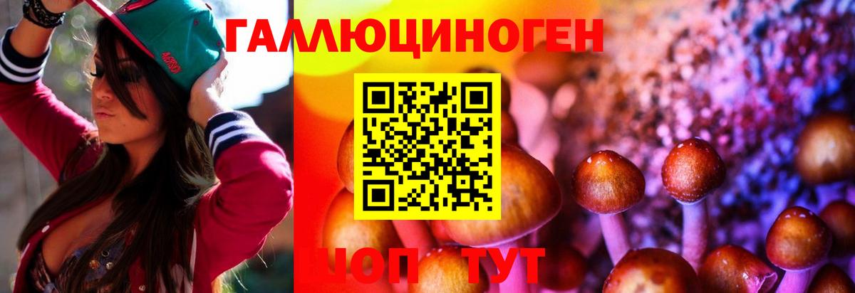 Артёмовский  Галлюциногенные грибы GOLDEN TEACHER  Вход с VPN 